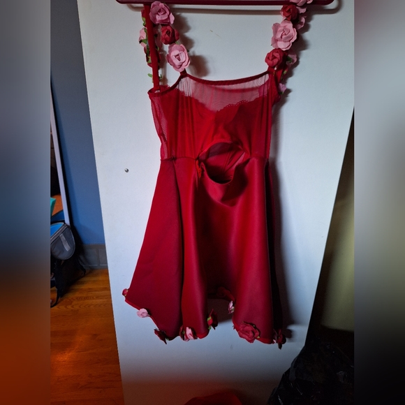 Red Rose Dress - Picture 4 of 4